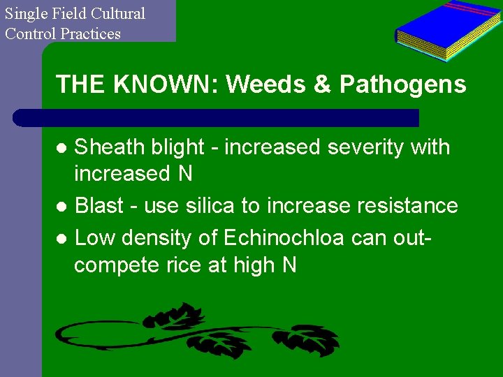 Single Field Cultural Control Practices THE KNOWN: Weeds & Pathogens Sheath blight - increased