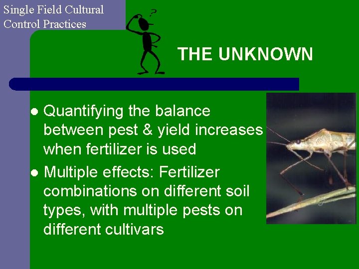 Single Field Cultural Control Practices THE UNKNOWN Quantifying the balance between pest & yield