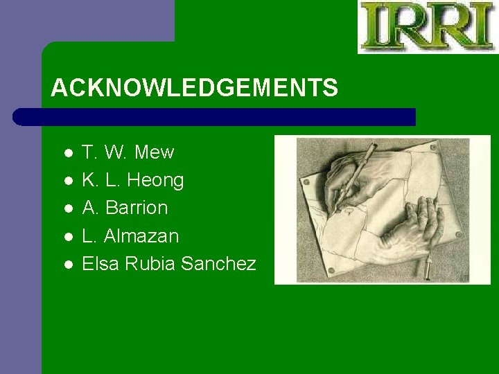 ACKNOWLEDGEMENTS l l l T. W. Mew K. L. Heong A. Barrion L. Almazan