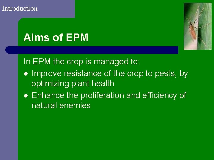Introduction Aims of EPM In EPM the crop is managed to: l Improve resistance