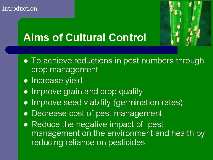 Introduction Aims of Cultural Control l l l To achieve reductions in pest numbers