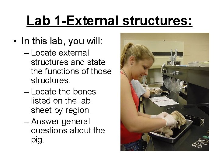 Lab 1 -External structures: • In this lab, you will: – Locate external structures