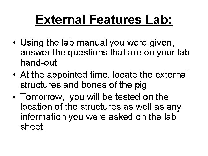 External Features Lab: • Using the lab manual you were given, answer the questions