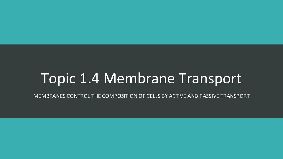 Topic 1. 4 Membrane Transport MEMBRANES CONTROL THE COMPOSITION OF CELLS BY ACTIVE AND