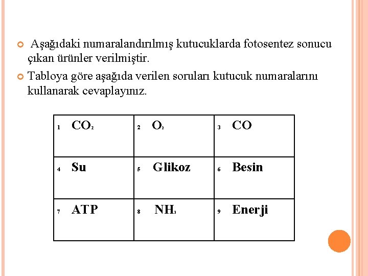 Aşağıdaki numaralandırılmış kutucuklarda fotosentez sonucu çıkan ürünler verilmiştir. Tabloya göre aşağıda verilen soruları kutucuk