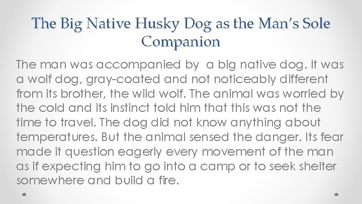 The Big Native Husky Dog as the Man’s Sole Companion The man was accompanied