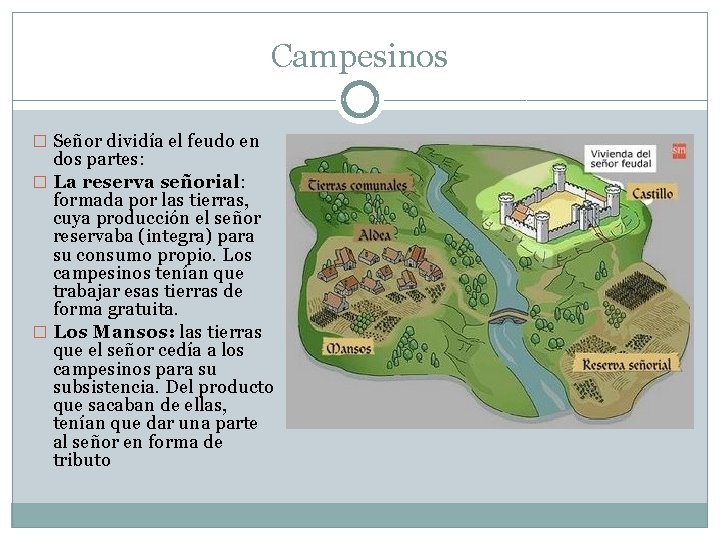 Campesinos � Señor dividía el feudo en dos partes: � La reserva señorial: formada