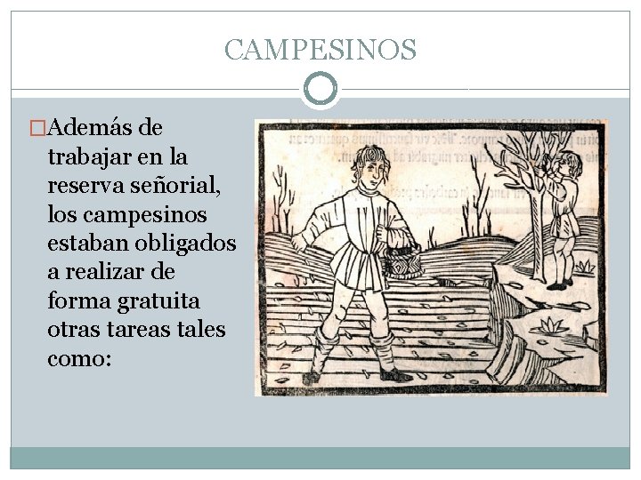 CAMPESINOS �Además de trabajar en la reserva señorial, los campesinos estaban obligados a realizar