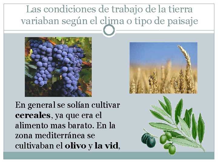 Las condiciones de trabajo de la tierra variaban según el clima o tipo de