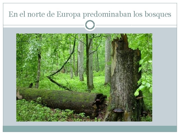 En el norte de Europa predominaban los bosques 