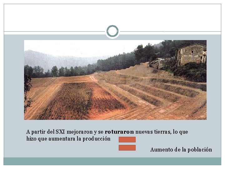 A partir del SXI mejoraron y se roturaron nuevas tierras, lo que hizo que
