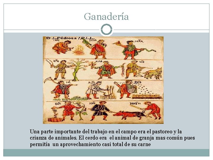 Ganadería Una parte importante del trabajo en el campo era el pastoreo y la