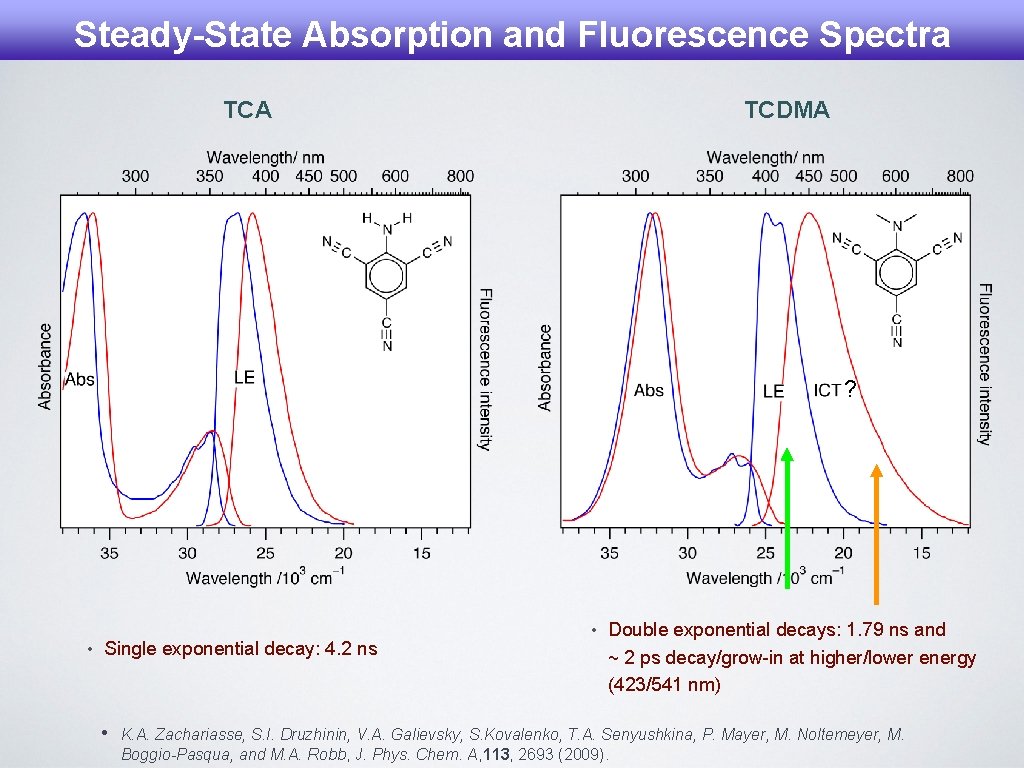 Steady-State Absorption and Fluorescence Spectra TCA TCDMA ? • Single exponential decay: 4. 2