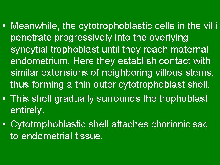  • Meanwhile, the cytotrophoblastic cells in the villi penetrate progressively into the overlying