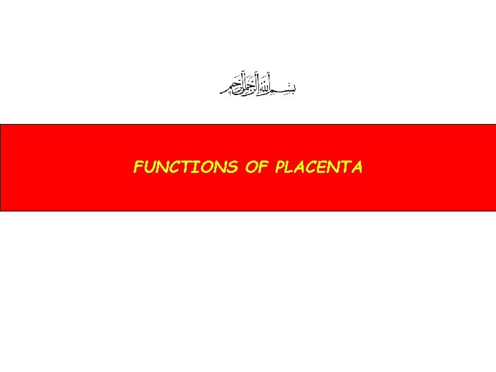 FUNCTIONS OF PLACENTA 