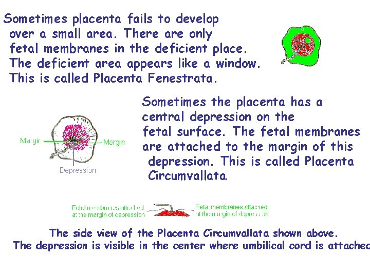 Sometimes placenta fails to develop over a small area. There are only fetal membranes