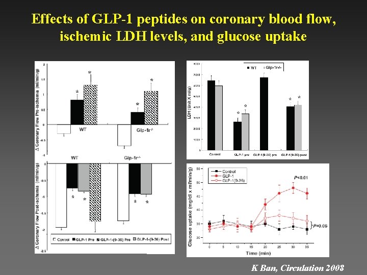 Effects of GLP-1 peptides on coronary blood flow, ischemic LDH levels, and glucose uptake