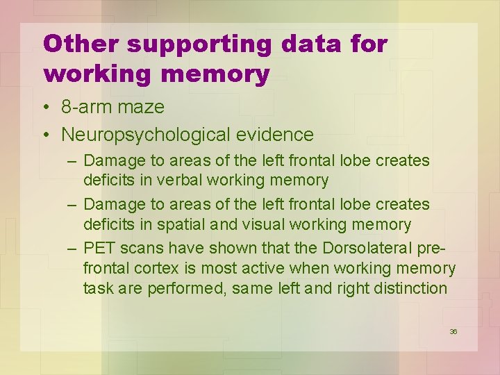 Other supporting data for working memory • 8 -arm maze • Neuropsychological evidence –