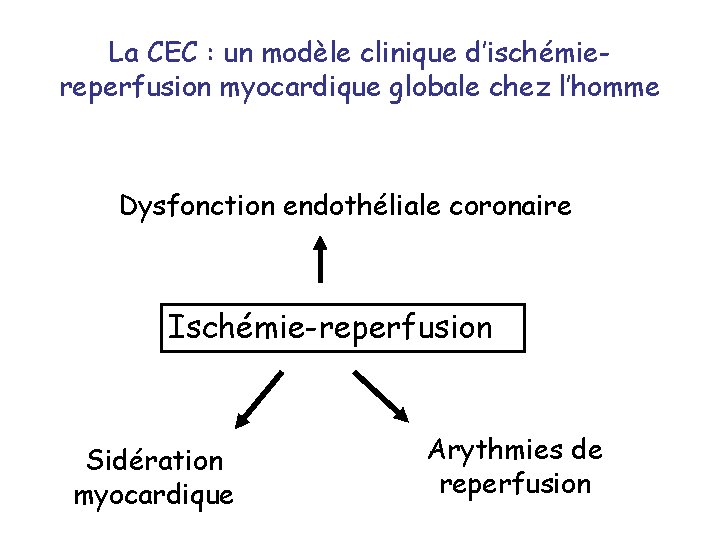 La CEC : un modèle clinique d’ischémiereperfusion myocardique globale chez l’homme Dysfonction endothéliale coronaire
