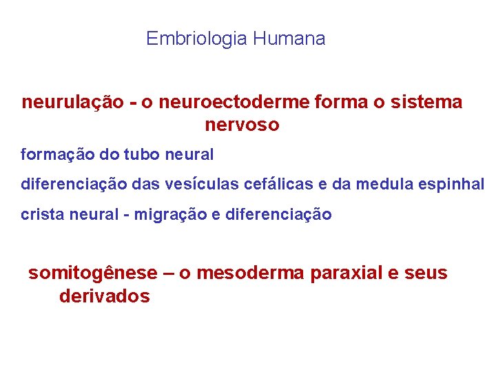 Embriologia Humana neurulação - o neuroectoderme forma o sistema nervoso formação do tubo neural