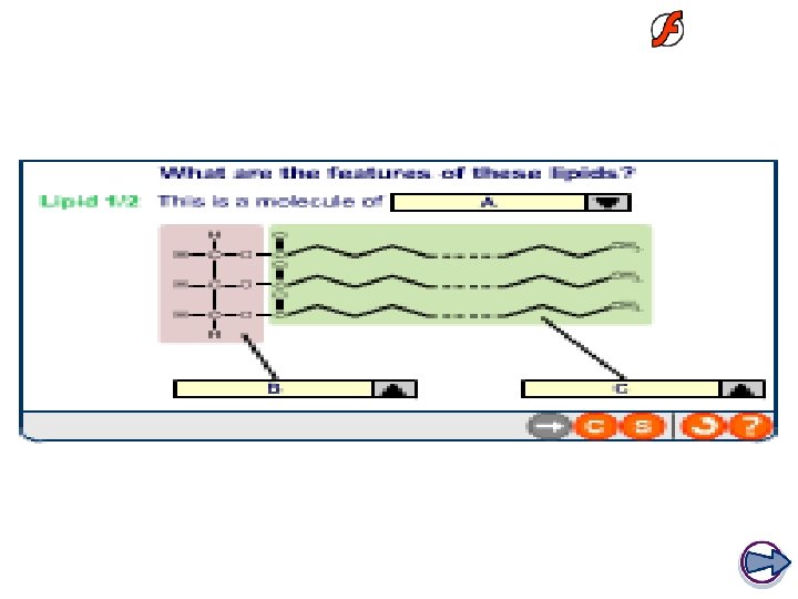 Components of lipids 