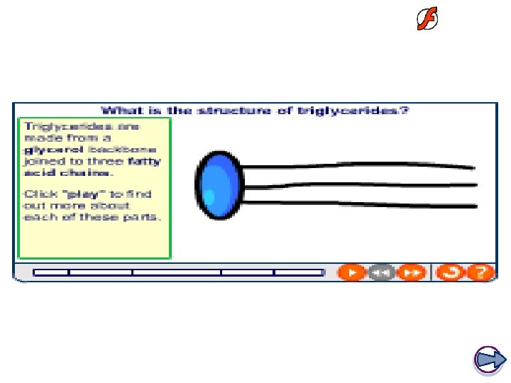 The structure of triglycerides 