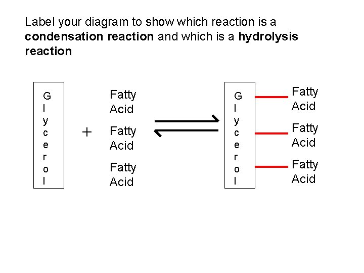 Label your diagram to show which reaction is a condensation reaction and which is