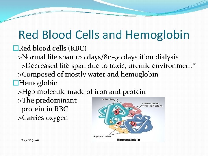 Red Blood Cells and Hemoglobin �Red blood cells (RBC) >Normal life span 120 days/80