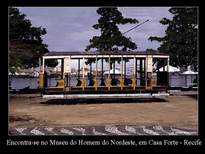 Encontra-se no Museu do Homem do Nordeste, em Casa Forte - Recife 