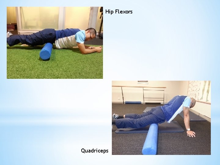 Hip Flexors Quadriceps 