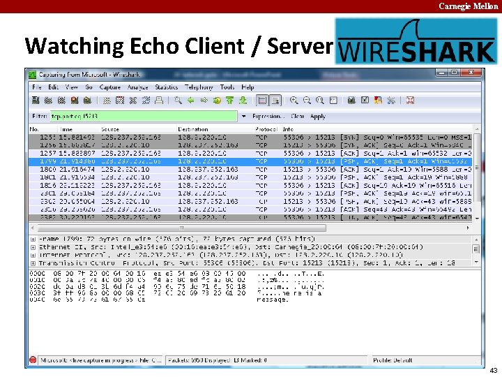 Carnegie Mellon Watching Echo Client / Server 43 