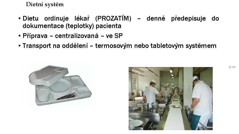 Dietní systém • Dietu ordinuje lékař (PROZATÍM) – denně předepisuje do dokumentace (teplotky) pacienta