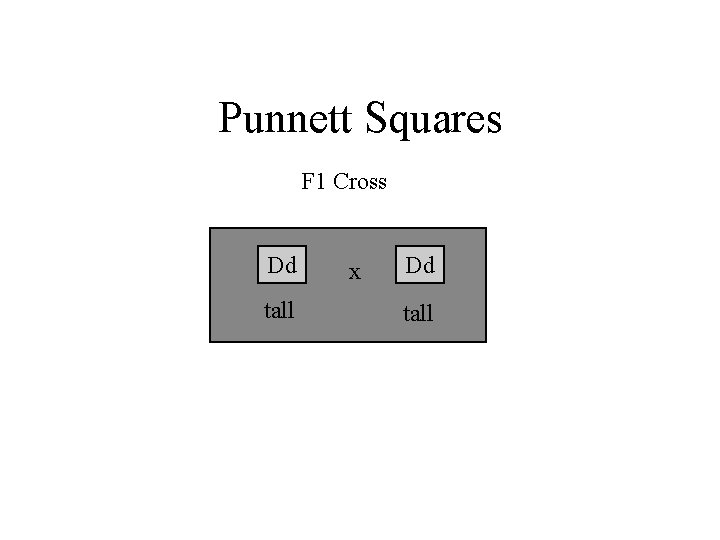 Punnett Squares F 1 Cross Dd tall x Dd tall 