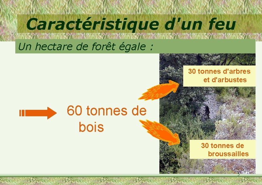 Caractéristique d'un feu Un hectare de forêt égale : 30 tonnes d'arbres et d'arbustes