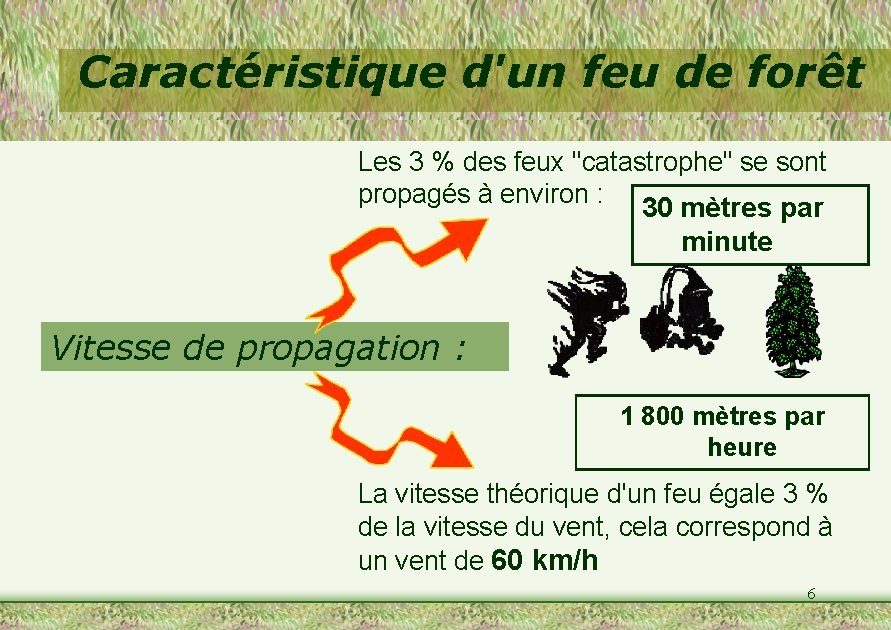 Caractéristique d'un feu de forêt Les 3 % des feux "catastrophe" se sont propagés