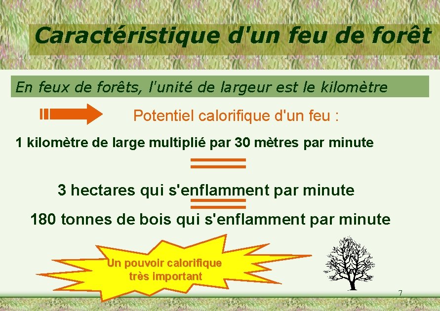 Caractéristique d'un feu de forêt En feux de forêts, l'unité de largeur est le