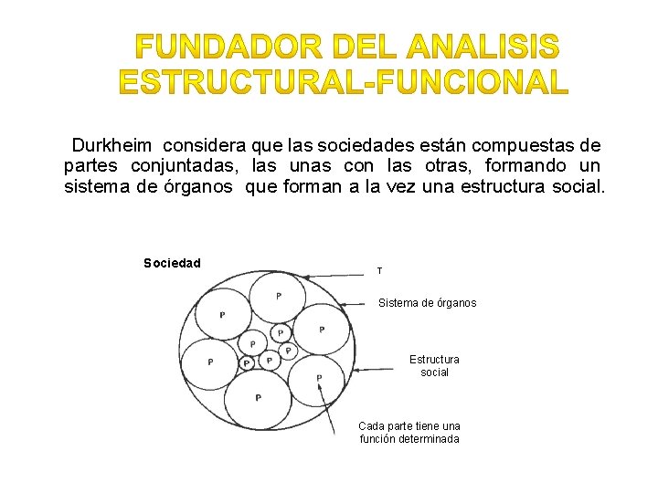 Durkheim considera que las sociedades están compuestas de partes conjuntadas, las unas con las