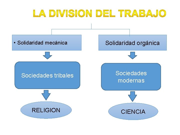  • Solidaridad mecánica Sociedades tribales RELIGION Solidaridad orgánica Sociedades modernas CIENCIA 