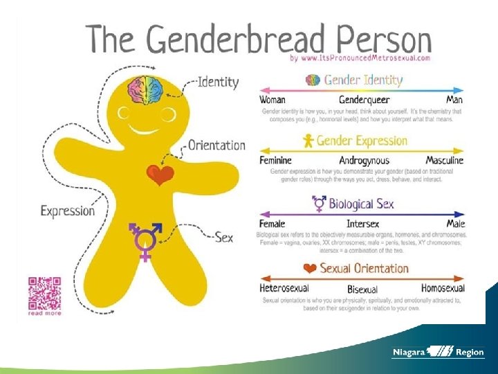 The Genderbread Person 