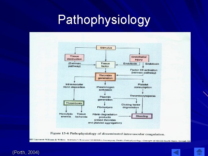 Pathophysiology (Porth, 2004) 