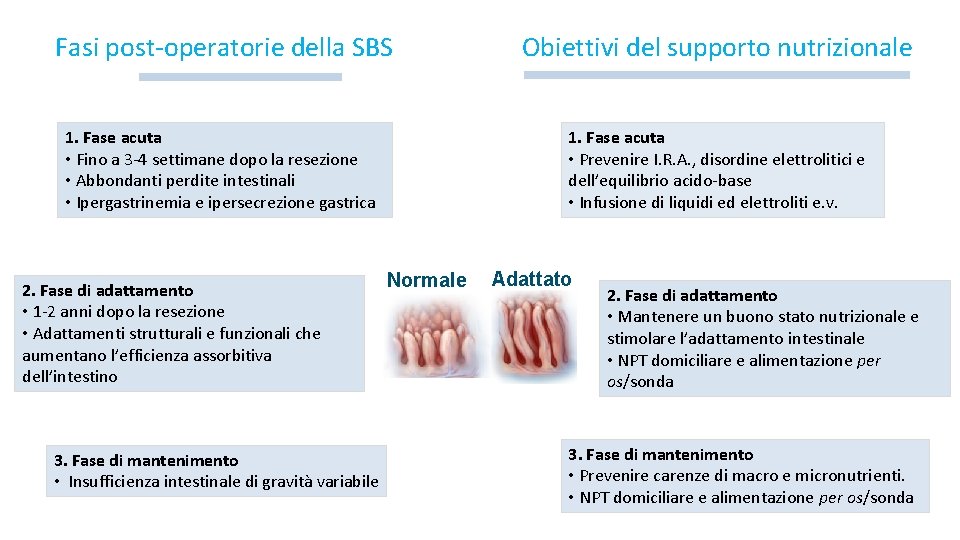 Fasi post-operatorie della SBS Obiettivi del supporto nutrizionale 1. Fase acuta • Fino a