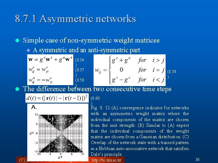 8. 7. 1 Asymmetric networks l Simple case of non-symmetric weight matrices ¨ A
