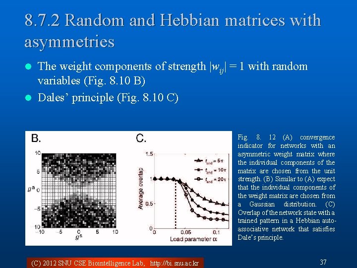 8. 7. 2 Random and Hebbian matrices with asymmetries The weight components of strength