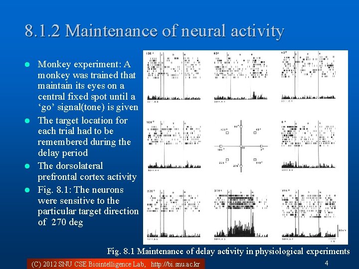 8. 1. 2 Maintenance of neural activity Monkey experiment: A monkey was trained that