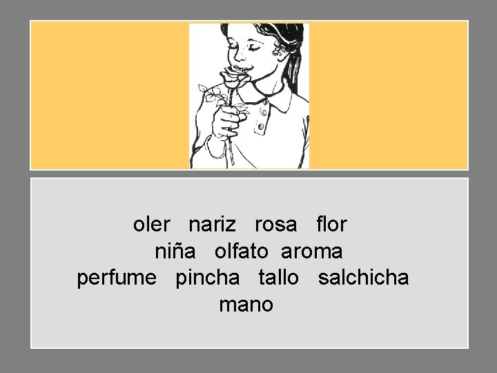 oler nariz rosa flor niña olfato aroma perfume pincha tallo salchicha mano 