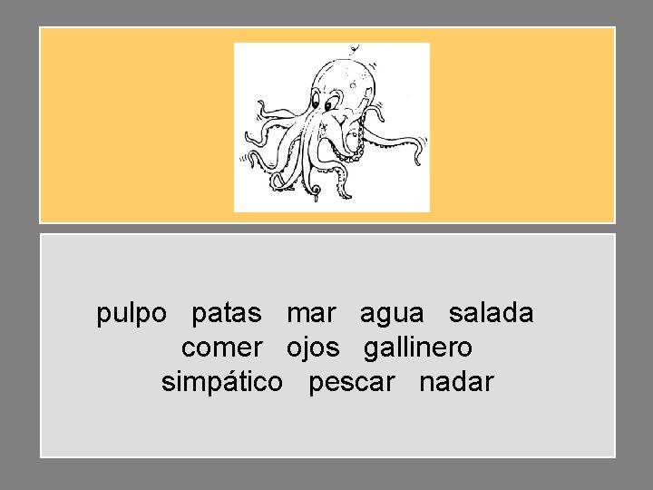 pulpo patas mar agua salada comer ojos gallinero simpático pescar nadar 