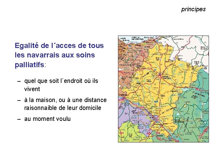 principes Egalité de l´acces de tous les navarrais aux soins palliatifs: palliatifs – quel