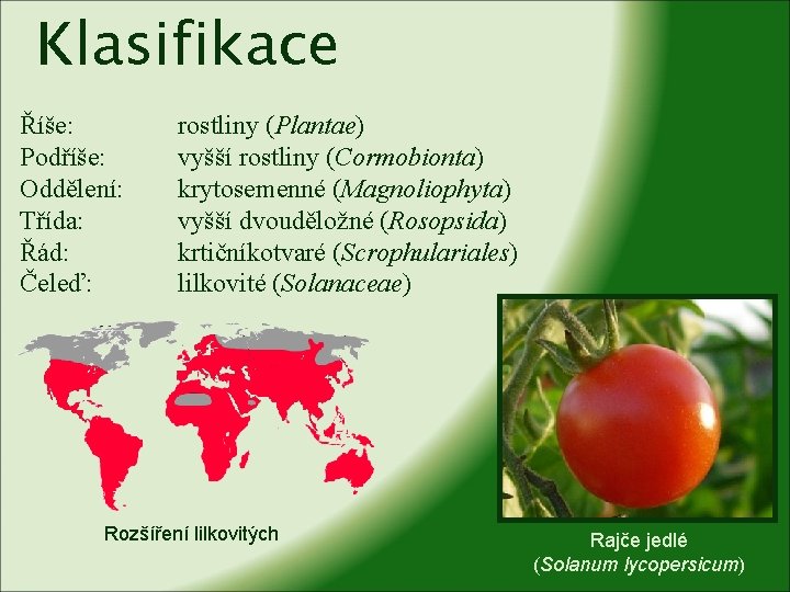 Klasifikace Říše: Podříše: Oddělení: Třída: Řád: Čeleď: rostliny (Plantae) vyšší rostliny (Cormobionta) krytosemenné (Magnoliophyta)