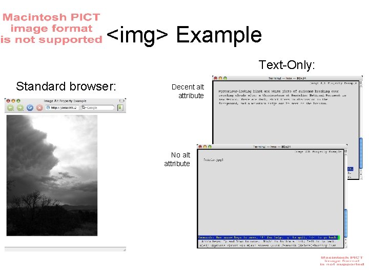 <img> Example Text-Only: Standard browser: Decent alt attribute No alt attribute <img> Example Text-Only: Standard browser: Decent alt attribute No alt attribute