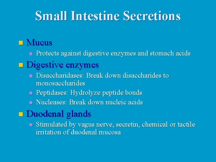 Small Intestine Secretions n Mucus n n Digestive enzymes n n Protects against digestive